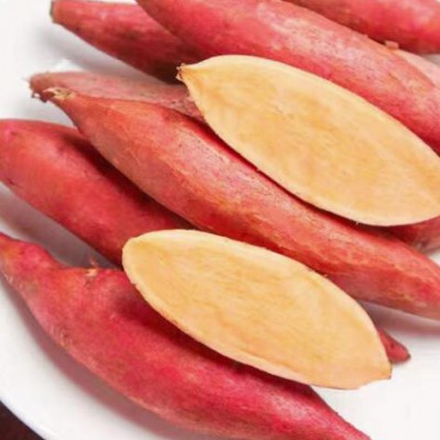 3斤紅薯新鮮沙地紅薯軟綿香甜沙地番薯地瓜紅薯蜜薯山地瓜新鮮蔬菜健康輕食 不支持拒收